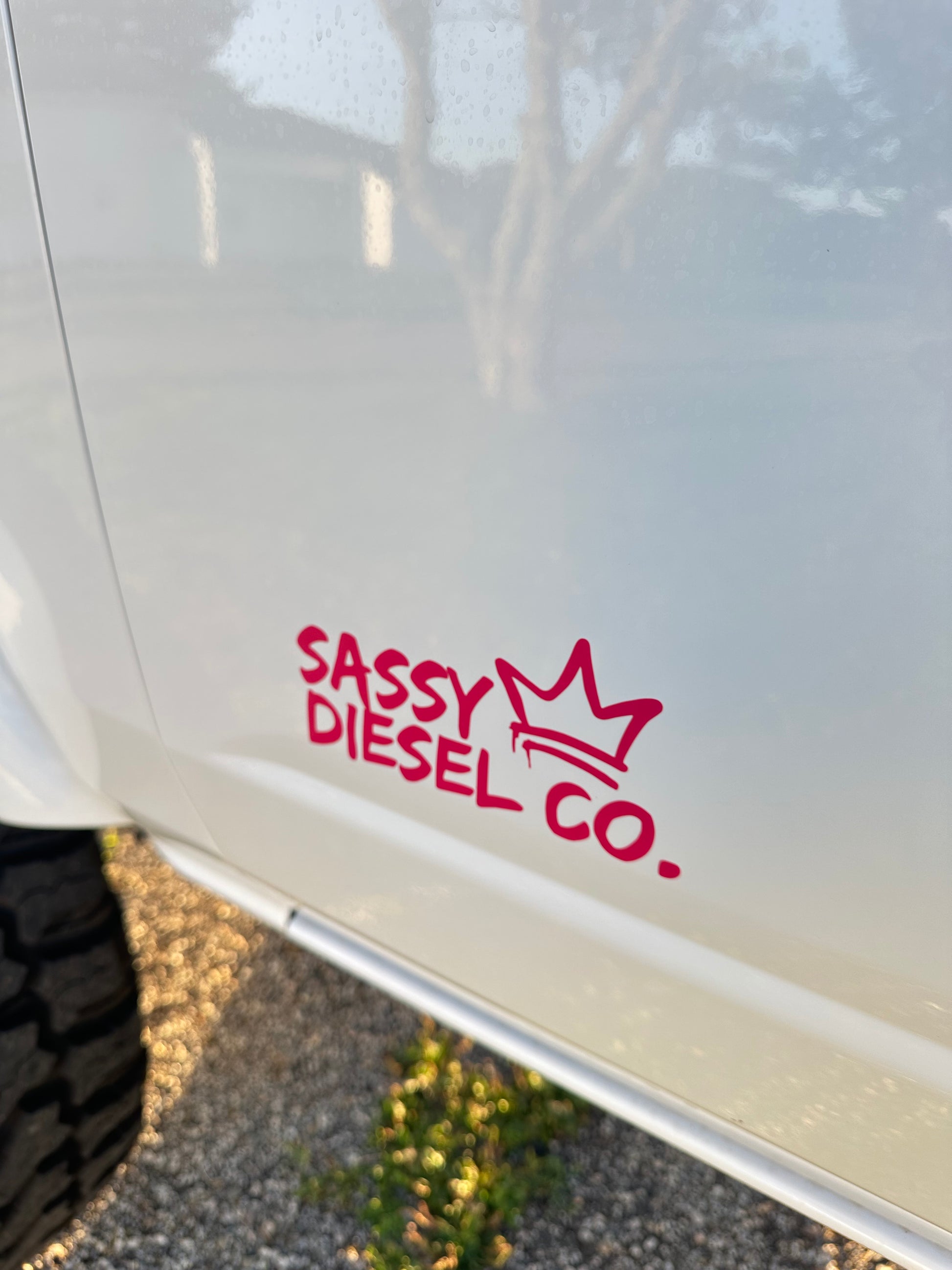 Sassy Diesel Co Stickers