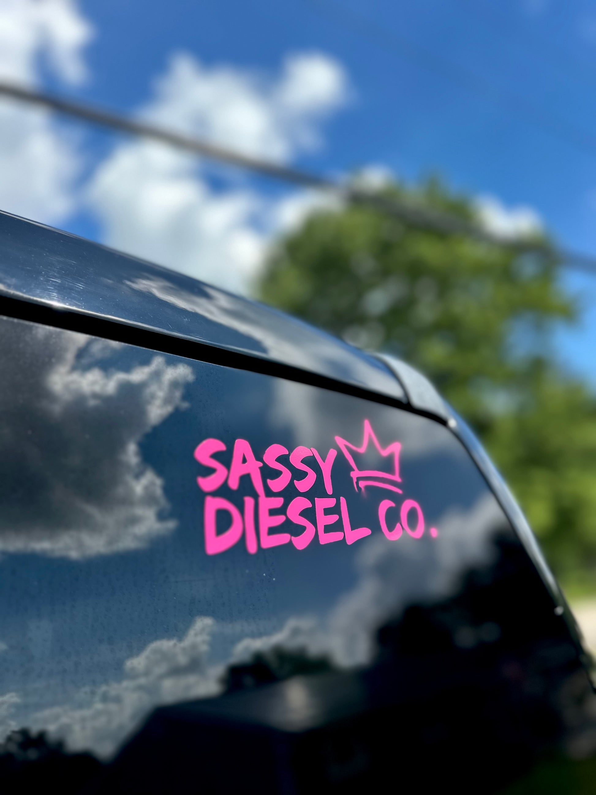 Sassy Diesel Co Stickers