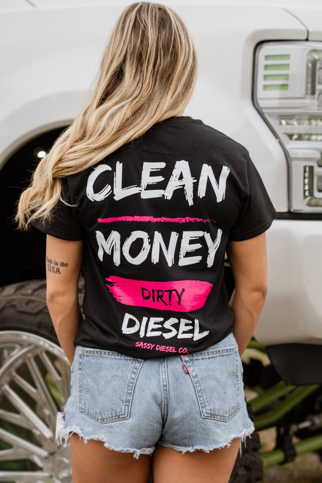 Clean Money, Dirty Diesel